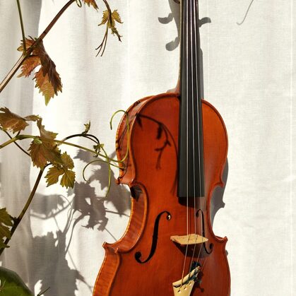 Violín modelo Strad, barniz al aceite y con accesorios de boj