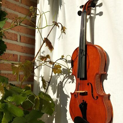 Violín modelo Strad, barniz al alcohol
