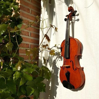 Strad model violin. Spirit varnish