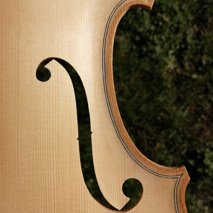 Detail of the treble "f" hole