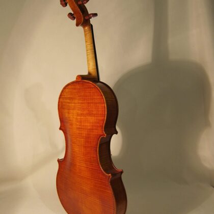 Back view of the viola