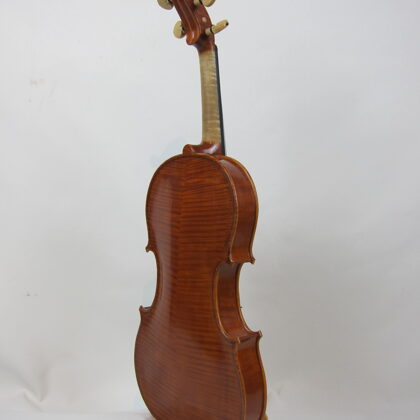 Back view