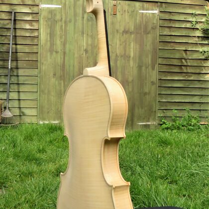 Back view of the viola in white
