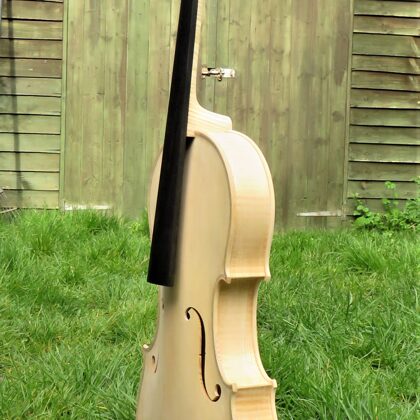 Side view of the viola in white
