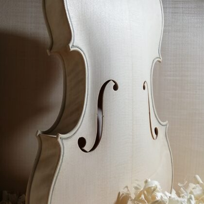 Viola body