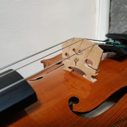 Detail of the central area of the violin