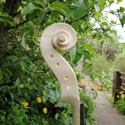 Scroll side view