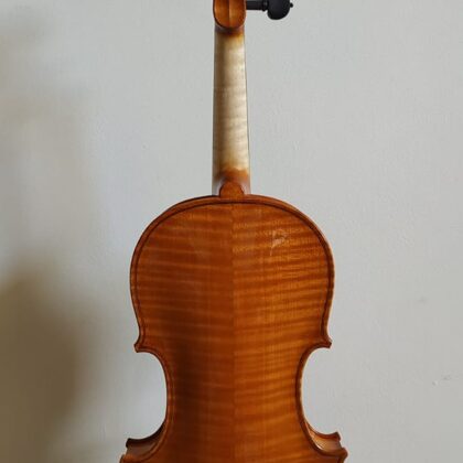 Back view