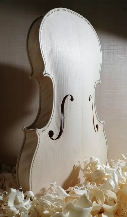 Cuerpo de la viola terminado en blanco