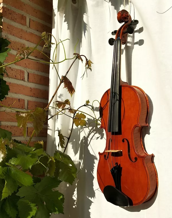 Violín modelo Strad, barniz al alcohol