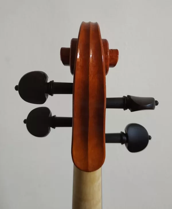 Detalle de la voluta