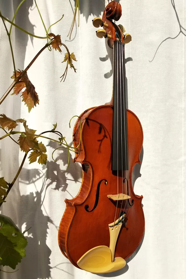 Strad model violin. Oil varnish