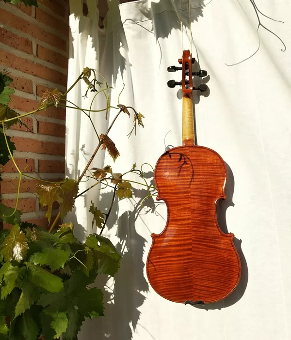 Back view