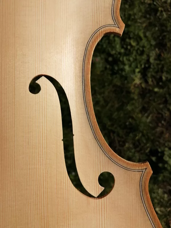 Detail of the treble "f" hole