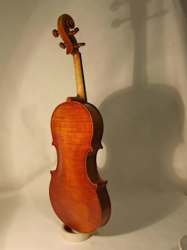 Back view of the viola