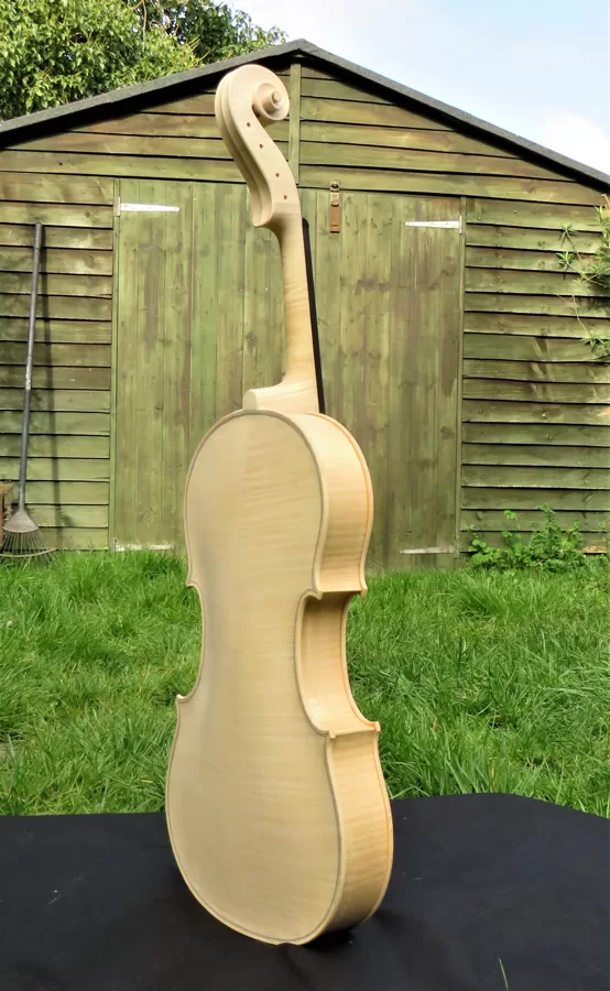 Back view of the viola in white