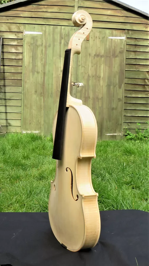Side view of the viola in white