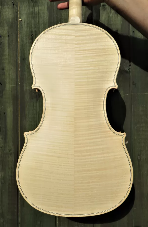 Detail of the back