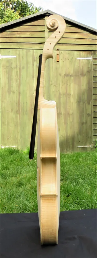 Side view
