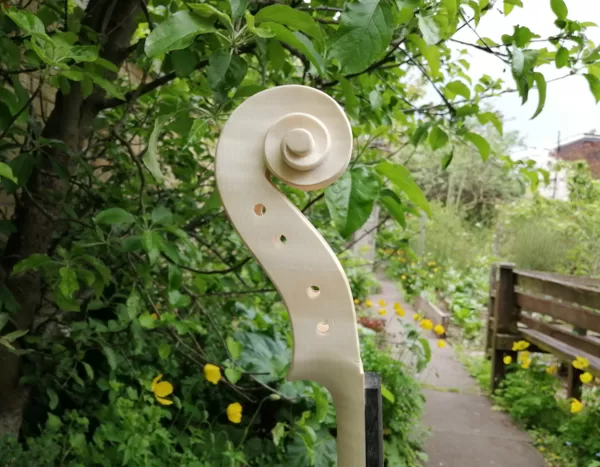 Scroll side view