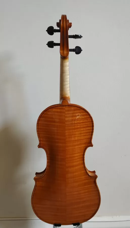 Back view